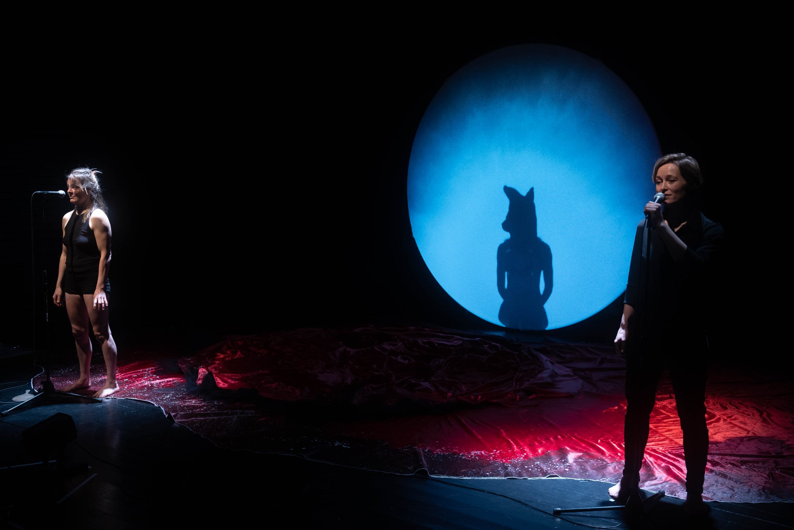 Nouveau Fuck Run_-212