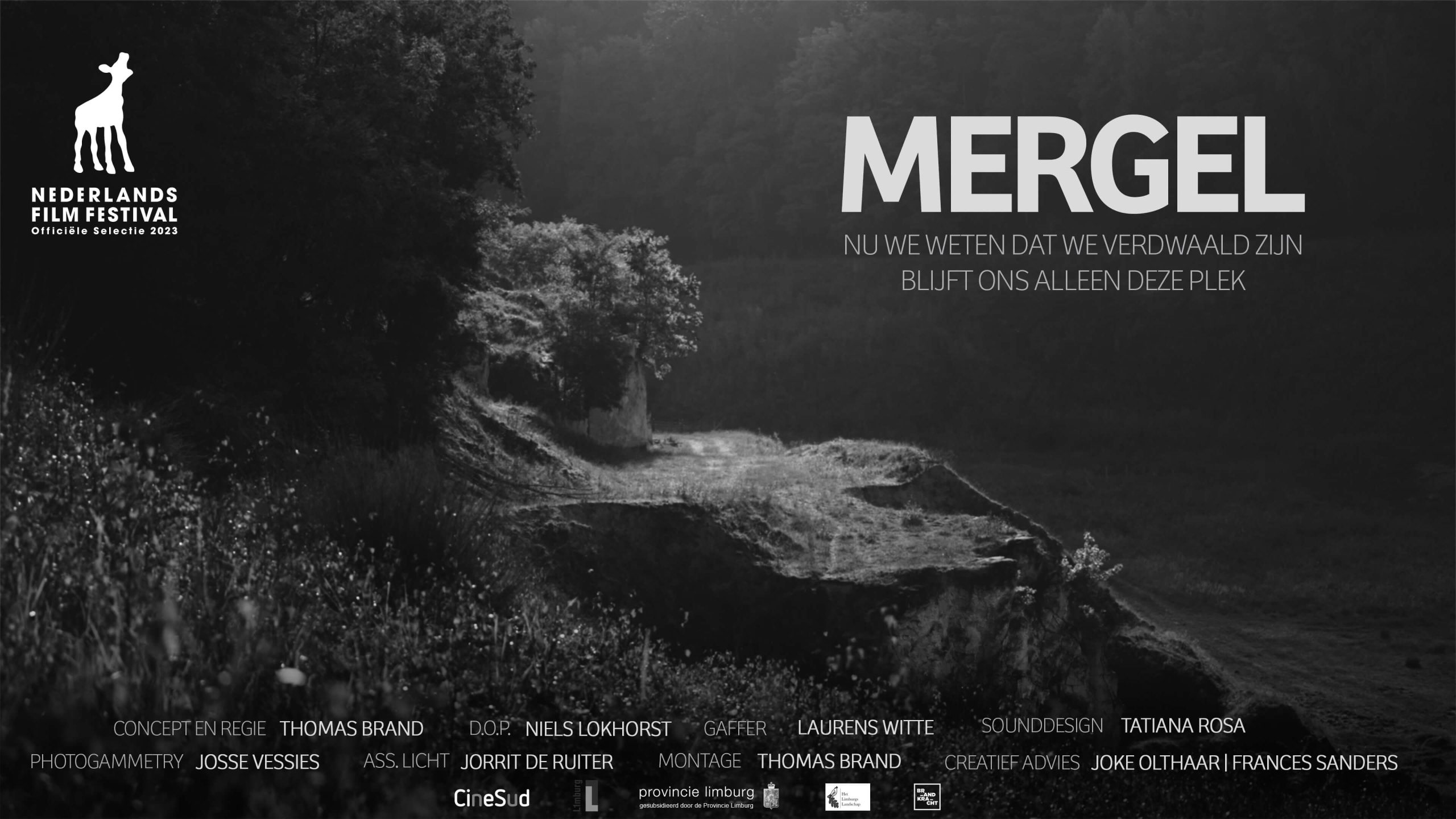 filmposter mergel NFF